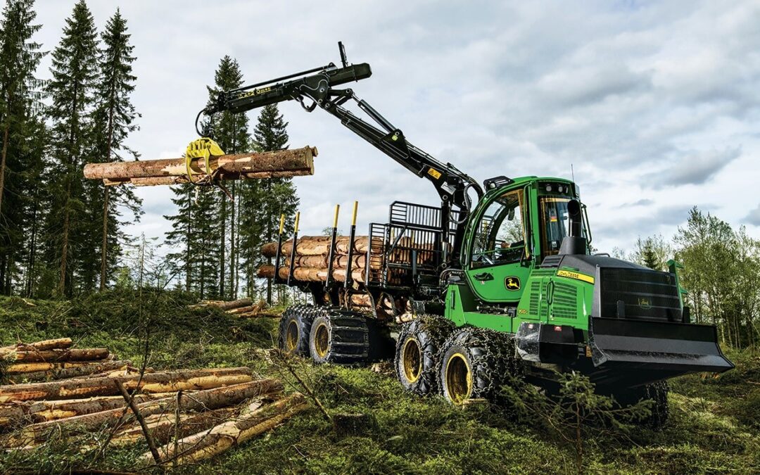 Fakitermelés és a fenntartható erdőgazdálkodás